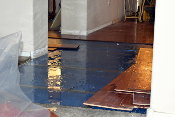 Professional Basement Flood Cleanup technician working in Stanton, TX